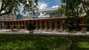 Michelin ceder&aacute; sus actividades en Rusia para finales de 2022