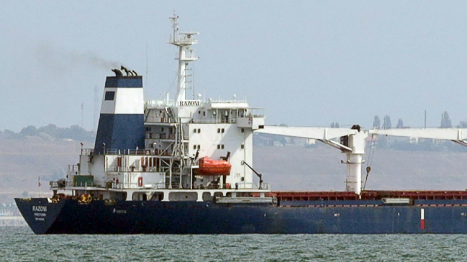 Ucrania reanuda sus exportaciones de grano por primera vez desde la invasi&oacute;n rusa