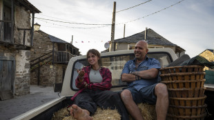 Buen Camino di Zalone &egrave; il film campione record delle feste al box office