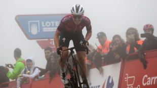 Team boss suspended from women's Tour after Vollering penalty