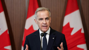 Le Canada impose des droits de douane de 25% sur des importations auto américaines