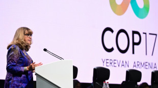COP17 chega a acordo sobre textos-chave para proteger a natureza