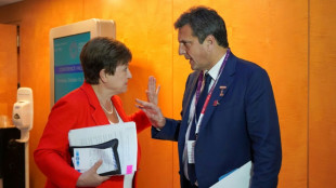 El FMI abre la v&iacute;a para desembolsar a Argentina unos USD 6.000 millones