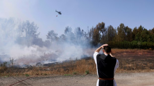 Israelische Feuerwehr weiter gegen Buschbrände im Einsatz