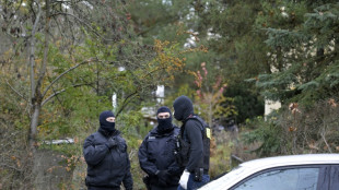 Gro&szlig;teil politischer Straftaten in Schleswig-Holstein von Rechten begangen