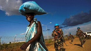 Regierung w&uuml;rdigt Einsatzkr&auml;fte zu "Tag des Peacekeeping"