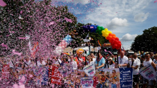 Unas 300.000 personas en la marcha del orgullo de Hamburgo una semana despu&eacute;s de un atentado