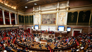 Vota&ccedil;&atilde;o pol&ecirc;mica no Parlamento da Fran&ccedil;a gera acusa&ccedil;&otilde;es de fraude