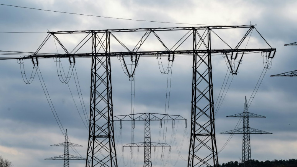 Baerbock verteidigt Industriestrompreis gegen Vorwurf der Wettbewerbsverzerrung