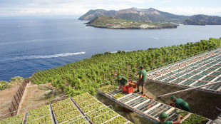 Sefcovic, 'purtroppo su dazi a vino non ancora accordo'