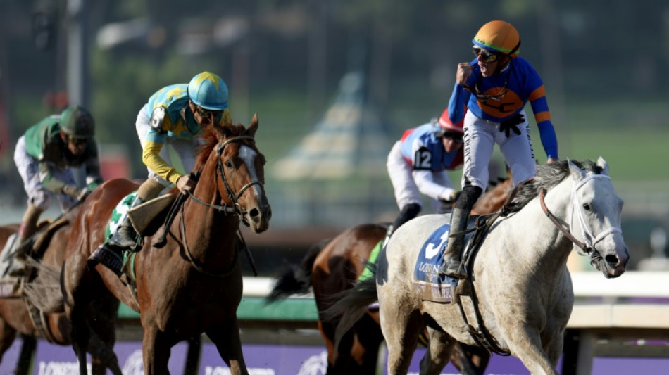 White Abarrio wins Breeders' Cup Classic