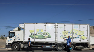 Erste Hilfslieferungen aus &Auml;gypten im Gazastreifen eingetroffen