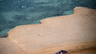 Ekstrom edges Loeb to take opening Dakar Rally prologue