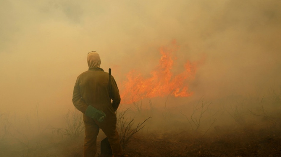 España investiga si hubo falta de planes de prevención en municipios afectados por los incendios