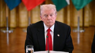 Trump: Internationale Truppe wird "sehr bald" in den Gazastreifen entsandt