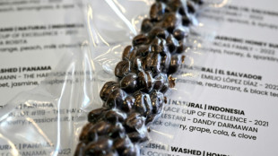 Una cafetería en Australia vende café panameño a 140 dólares la taza