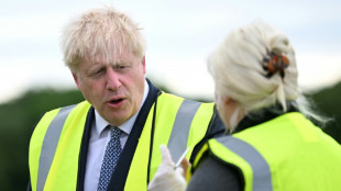 Boris Johnson, brevemente hospitalizado para una operaci&oacute;n nasal