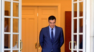 Spanisches Parlament soll am Donnerstag &uuml;ber neue  S&aacute;nchez-Regierung entscheiden