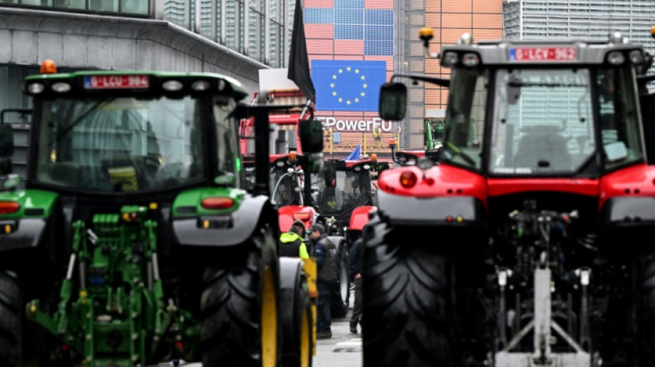 UE estuda simplificar a sua pol&iacute;tica agr&iacute;cola sob press&atilde;o de novos protestos