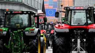 UE estuda simplificar a sua pol&iacute;tica agr&iacute;cola sob press&atilde;o de novos protestos