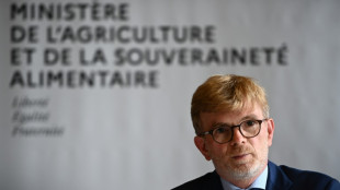 La s&eacute;cheresse amoindrit la production de ma&iuml;s grain en France