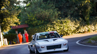 Auto: Valenti su Peugeot alza Coppa Faro Pesaro sotto la pioggia