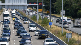 Incautan 1,3 toneladas de coca&iacute;na en Francia en un cami&oacute;n que ven&iacute;a de Espa&ntilde;a
