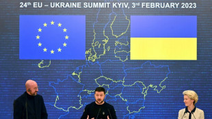 Western allies pledge precision rockets, missile systems to Kyiv