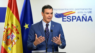 Partidos del gobierno espa&ntilde;ol presentar&aacute;n reforma del delito de sedici&oacute;n