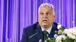 Euroc&eacute;tica Hungria de Orban assume a presid&ecirc;ncia semestral da UE