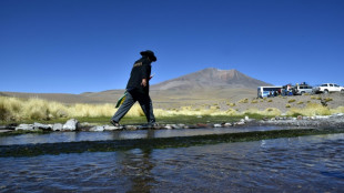 Acuerdo entre Bolivia y Chile cierra diferendo ante la CIJ sobre el r&iacute;o Silala 