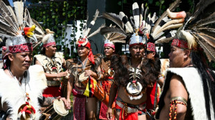 Malaysia's Dayaks mark rice harvest end with colourful parade