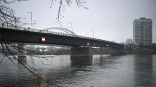 Nach Schüssen in Rendsburg: Dritter Tatverdächtiger in Frankreich festgenommen 