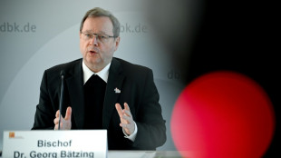 Synodaler Ausschuss führt Reformprozess weiter - Glückwünsche für Papst Leo XIV.