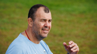 Cheika plays down half-time team talk after Pumas roar back to beat Wales