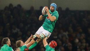 Irish lock Tadhg Beirne ruled out of Six Nations with injury
