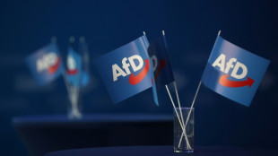 Saarl&auml;ndische AfD tritt ohne Landesliste bei Landtagswahl an