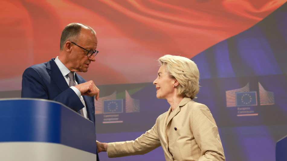 Merz, 'non condivido aumento bilancio Ue, porta solo debiti'