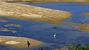 Dal Danubio in secca riemergono le navi della flotta di Hitler