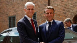 Macron entame une visite en Norvège placée sous le signe de la défense
