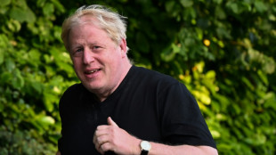 Ausschuss: Johnson f&uuml;hrte Abgeordnete bei Corona-Partys absichtlich in die Irre