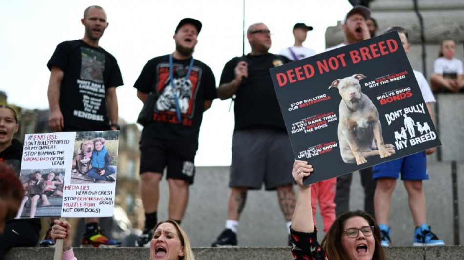Nach t&ouml;dlichen Bei&szlig;attacken: Britische Regierung verbietet American XL Bullys