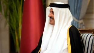 Emir do Catar viajar&aacute; para a Fran&ccedil;a para abordar situa&ccedil;&atilde;o em Gaza