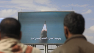 Houthi, 'intervento Usa nello stretto di Bab el-Mandeb sarebbe linea rossa'