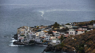 Una turista alemana muere en las Islas Canarias por el ataque de un tiburón
