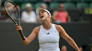 Booed Azarenka blasts 'unfair' Wimbledon crowd after Svitolina defeat 