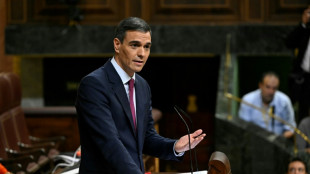 Spanisches Parlament stimmt &uuml;ber neue S&aacute;nchez-Regierung ab