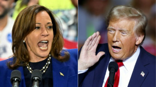 J&uuml;ngste Umfrage sieht Harris in vier der umk&auml;mpften Swing States vor Trump