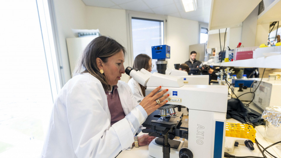 Il sistema immunitario reagisce ai microbi ancor prima di riconoscerli