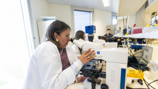 Il sistema immunitario reagisce ai microbi ancor prima di riconoscerli